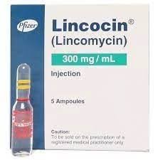 Lincocin 300 mg (Lincomycin) Inj 5's
