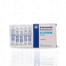 Lincocin 600 mg (Lincomycin) Inj 5's