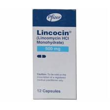 Lincoras 500 mg (Lincomycin) Cap 12's