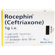Rocephin 1 g (Ceftriaxone) IV Inj